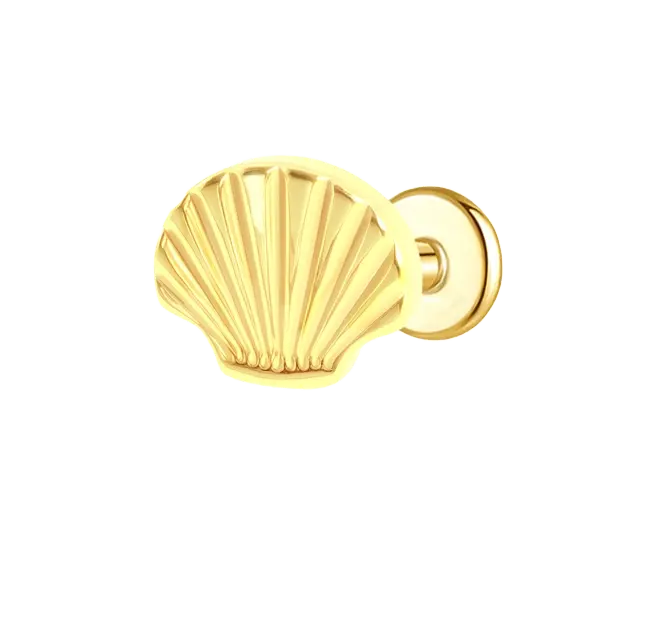 Sea Shell Flat Back Push Pin Earring Gold Piercing Stud Earring studhoop birthday gift flat back earrings flat back stud earrings gift for her push pin earrings push pin stud earrings sea sterling silver stud earring for helix stud earring for women Stud Earrings Stud Earrings for Helix Piercing stud earrings gold titanium earrings