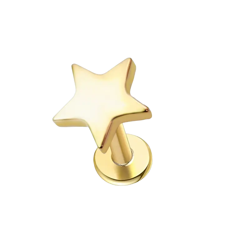 Gold Minimalist Star Stud Earring Gold Piercing Stud Earring studhoop birthday gift flat back earrings flat back stud earrings gift for her push pin earrings push pin stud earrings star star stud earring sterling silver stud earring for helix stud earring for women Stud Earrings Stud Earrings for Helix Piercing stud earrings gold titanium earrings